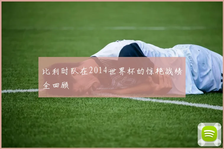 比利时队在2014世界杯的惊艳战绩全回顾
