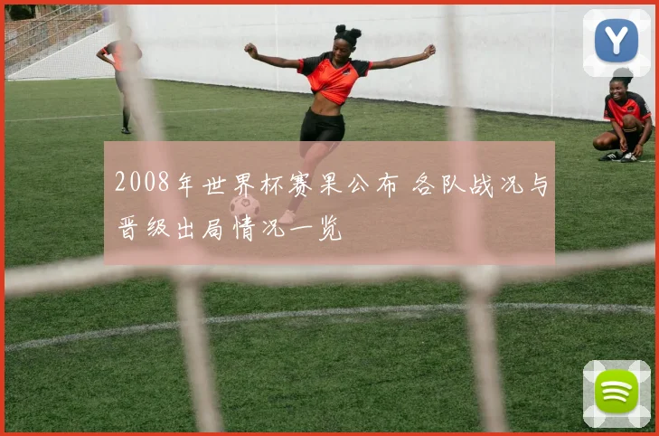 2008年世界杯赛果公布 各队战况与晋级出局情况一览