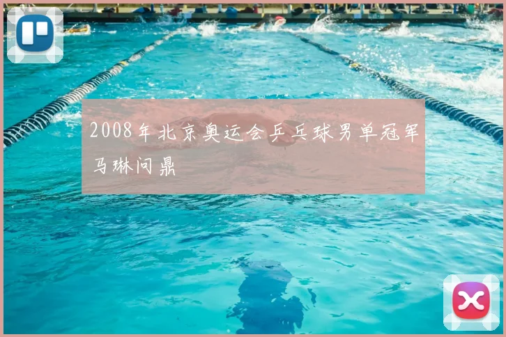 2008年北京奥运会乒乓球男单冠军马琳问鼎