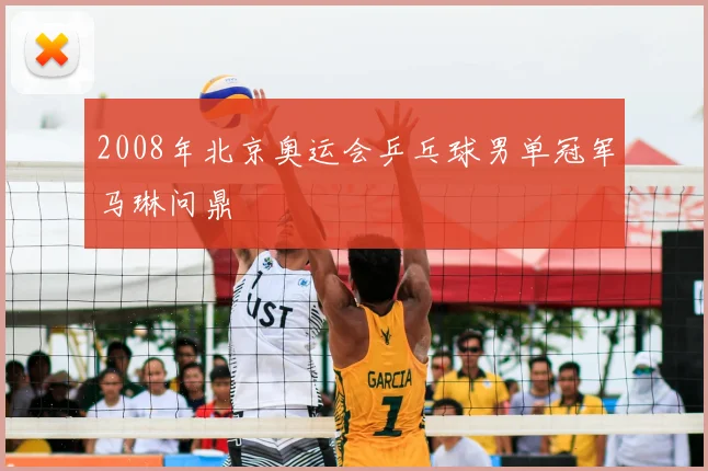 2008年北京奥运会乒乓球男单冠军马琳问鼎