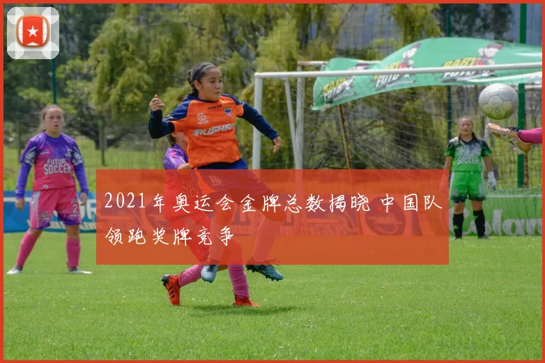 2021年奥运会金牌总数揭晓 中国队领跑奖牌竞争